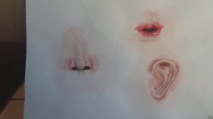 ОБЗОР СКЕТЧБУКА (КОРЕЙСКИЙ СКЕТЧБУК) #1