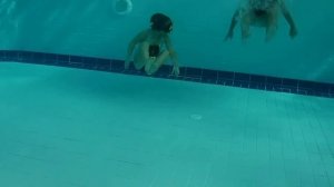 Дети в бассейне. Прыжки в воду. Как дети ныряют, плавают Kids swimming, diving in the pool Для дете