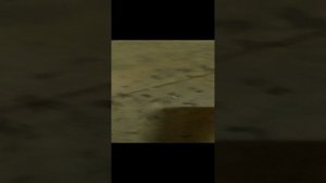 замена шкива коленчатого вала и шкива кондиционера на хендай Санта фе2 дизель,2.2,150л.с.