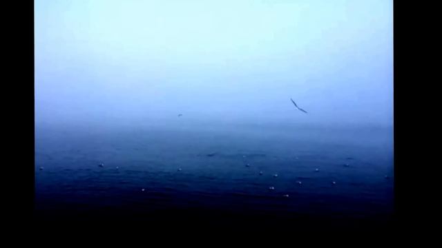 Одесса. Черное море. Ревун. Чайки. смотреть онлайн