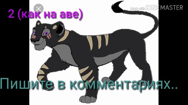 какой окрас выбрать? ●♣♣♣♣♣♣♣♧ смотреть онлайн