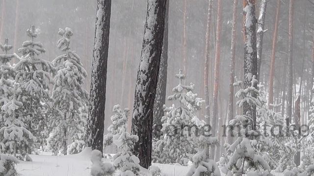Robert Frost * Stopping By Woods On A Snowy Evening