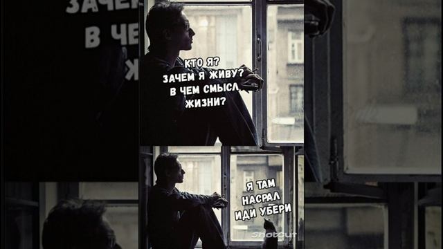 Shotcut-20231215-234856.mp4