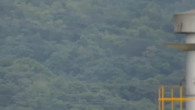 Sx60hs zoom in смотреть онлайн