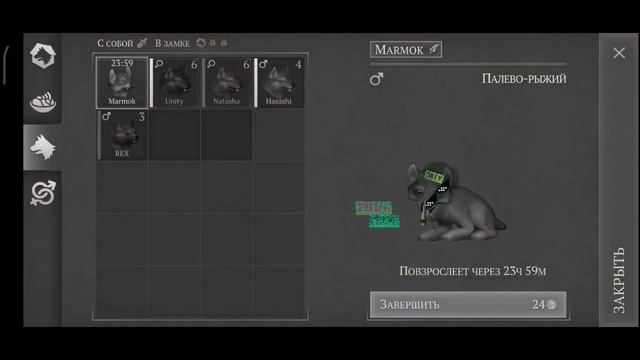 Собрал алтарь в грим соул!Grim Soul. смотреть онлайн