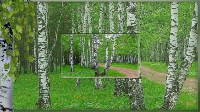 Березовые хороводы - бесплатные весенние стили смотреть онлайн