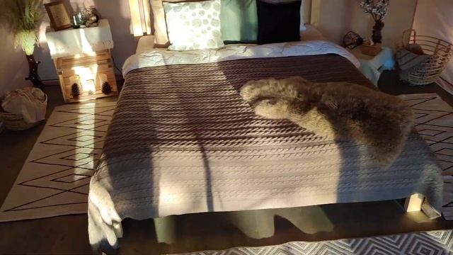 Как выглядит палатка изнутри в глэмпинге "Под небом" смотреть онлайн