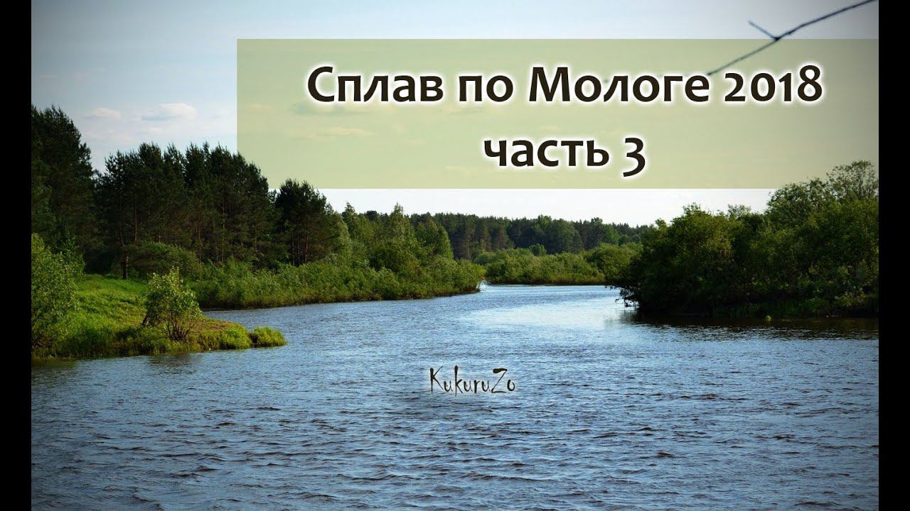 18+ Сплав по реке Молога. 3 часть. Атака птиц всё сожрали. Рыбалка. Прошли через кустарник. КукуруЗо смотреть онлайн
