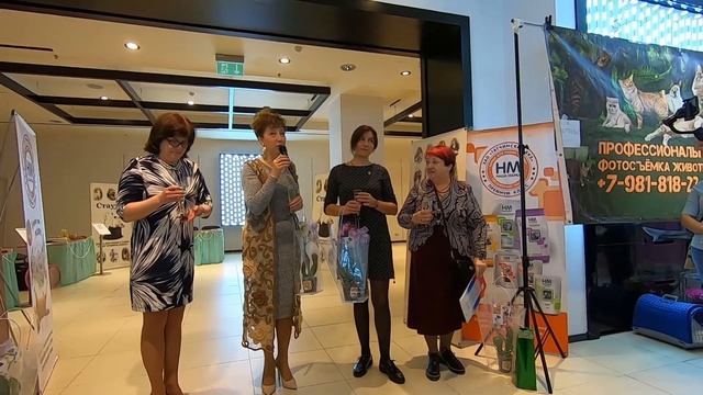 Выставка кошек. Саффи 30 лет открытие. 2.03.2019 часть 1 смотреть онлайн