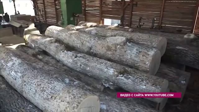 Иркутская область теряет лес смотреть онлайн