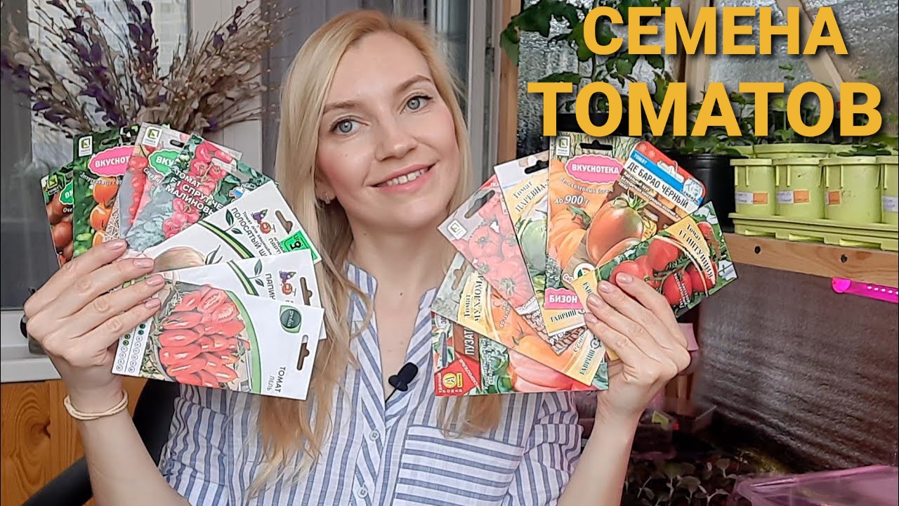 ОБЗОР ТОМАТОВ НА СЕЗОН 2022 смотреть онлайн