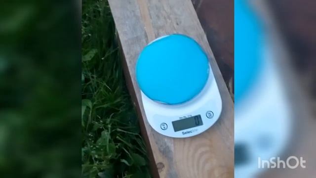 Персик в Беларуси смотреть онлайн