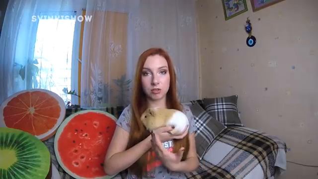 ВСЯ ПРАВДА о здоровье моих питомцев. Мои морские свинки болеют | SvinkiShow смотреть онлайн