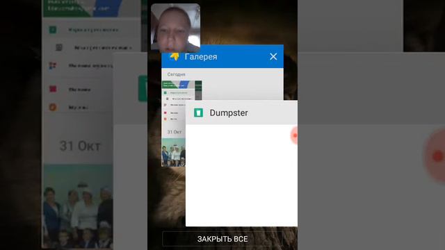 Как востонавить фото или видео смотреть онлайн