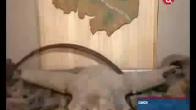 В Омске люди жили десятки тысяч лет! смотреть онлайн