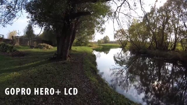 GoPro Hero+ LCD или Xiaomi Yi