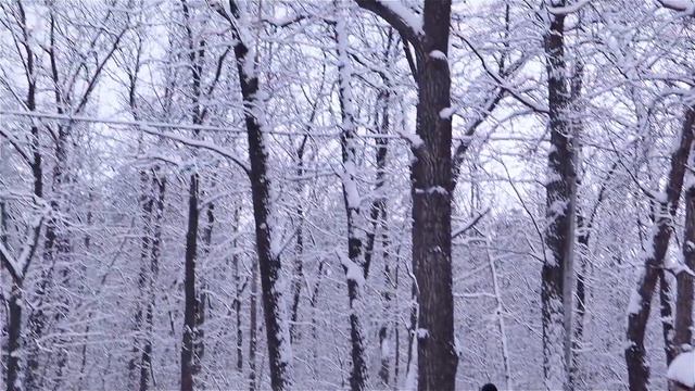 Заскочила зима - Михаил Федоренко смотреть онлайн