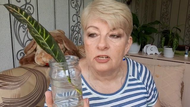 VLOG 226 Про все отвечаю вам/ смотреть онлайн