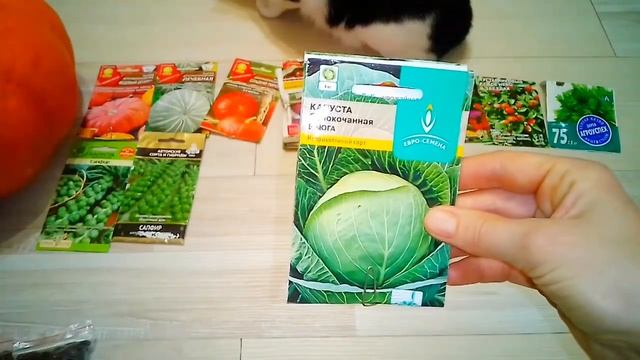 ПОГОВОРИМ ПРО СЕМЕНА! смотреть онлайн