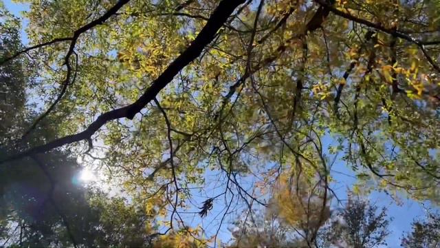 «Всю жизнь Тебя искала»… (исполняет Елена Воробьёва) смотреть онлайн