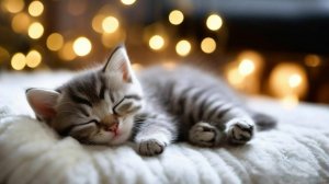 Замурчательное видео для сна😻 Засыпай под мурчание кошки 🐈  #мурчание #длясна #видеодлясна