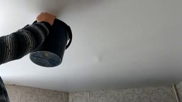 Вода течет с потолков, а в УК «БытСервис» бросают трубку смотреть онлайн