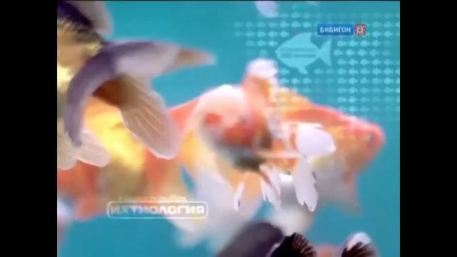 БИБиГоН ИСТОРИЯ часть1 смотреть онлайн