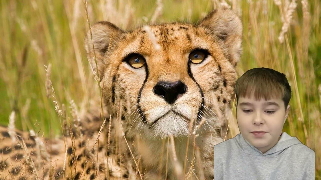 КОАПП КОАПП М.Константиновского  от 6 в Новая школа Зернограда