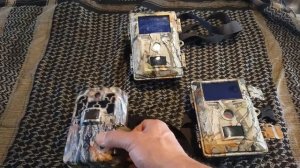 Фотоловушка и как она работает? И что она сфотографировала в Канадских лесах!