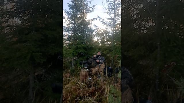 болото неодолимое