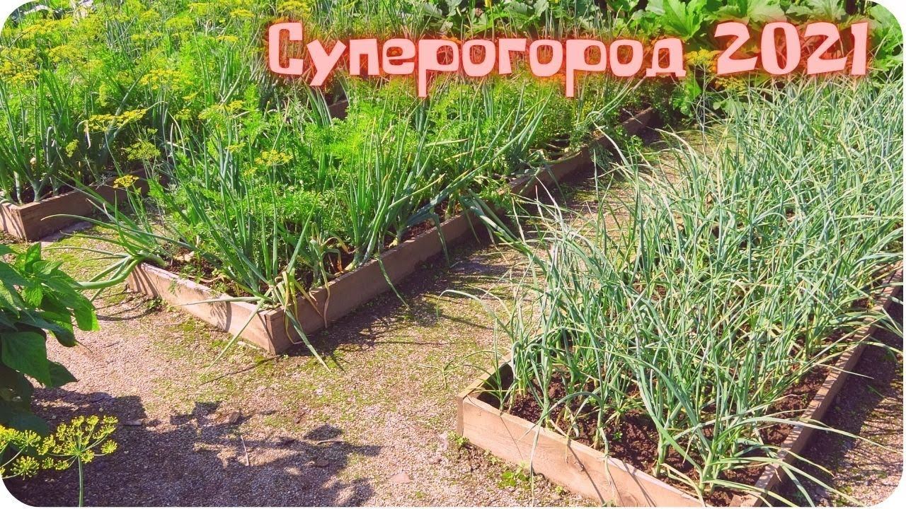 Экскурсия на супер огород мечты 2021 смотреть онлайн