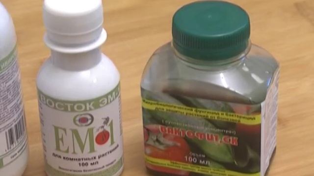 Дачные советы 10.04.2014 смотреть онлайн