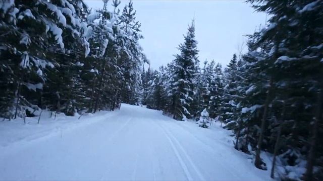 Кудымкар Лыжная прогулка 9 01 2021 г смотреть онлайн