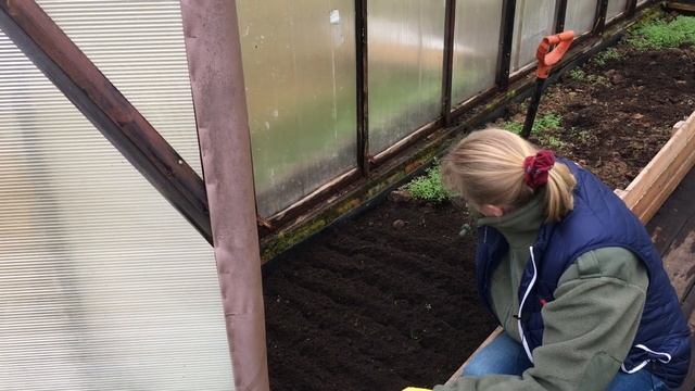 Садовые хлопоты в ЯНВАРЕ/КАК ПОЙМАТЬ КРОТА,проверенный способ/