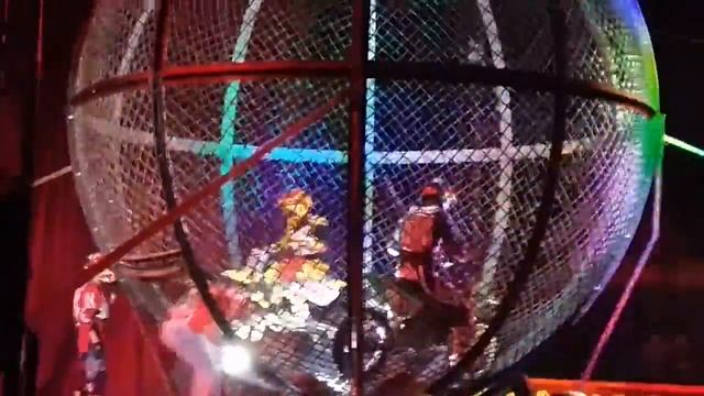 Каскадеры в Цирке Максимус смотреть онлайн