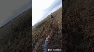 Покатушки на Racer Alpha50cc по грязи