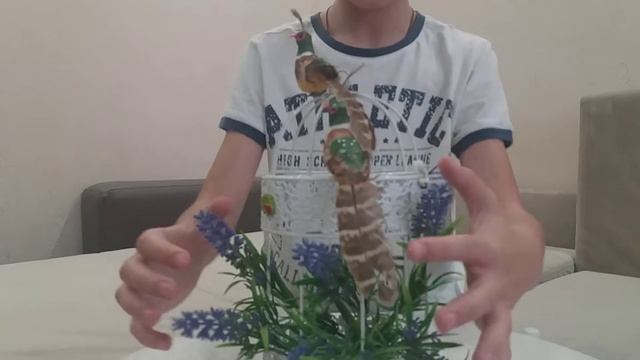 Обзор на декоративную клетку с цветами и птицами смотреть онлайн