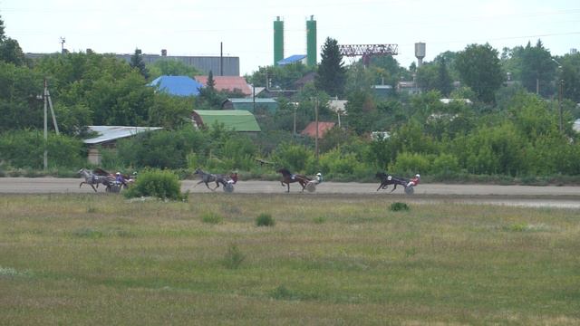 Фестиваль Орловского рысака Сибирь-2020. Приз Пиона 1 гит. смотреть онлайн