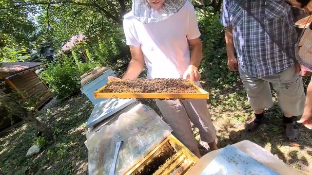 Как провести выходные с пользой для детей и взрослых. смотреть онлайн