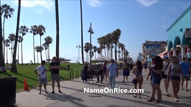 PIT BULL ATTACKS BOXER VENICE BEACH CALIF. JULY 18, 2017 смотреть онлайн