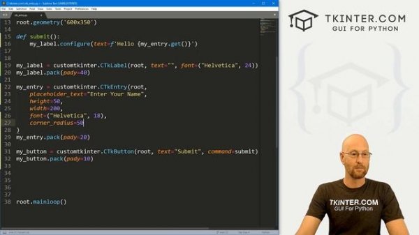 Entry Widgets in CustomTkinter - Tkinter CustomTkinter 3