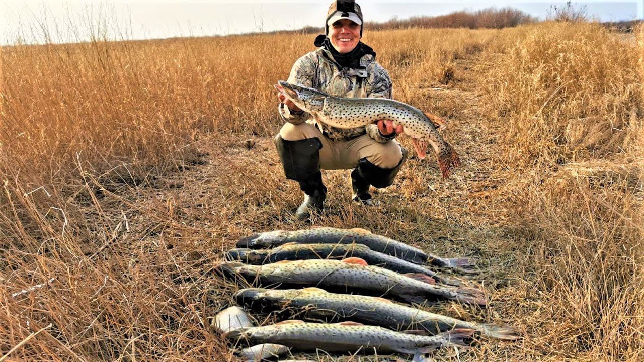 Удачная рыбалка. Открыли махалочный сезон. Рыбалка осенью 2021 смотреть онлайн