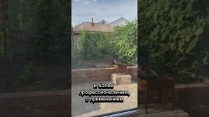 ИДЕАЛЬНАЯ ПРОПОРЦИЯ ДЛЯ КАШ С МЯСОМ #автоклав #еда #тушенка #готовимдома #домашняяеда #быстро