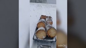 Зимняя перевозка дров из леса на мотособаке.