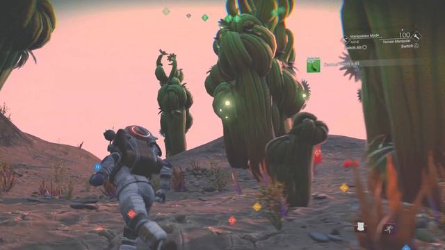 No Man's Sky How to find Cactus Flesh смотреть онлайн