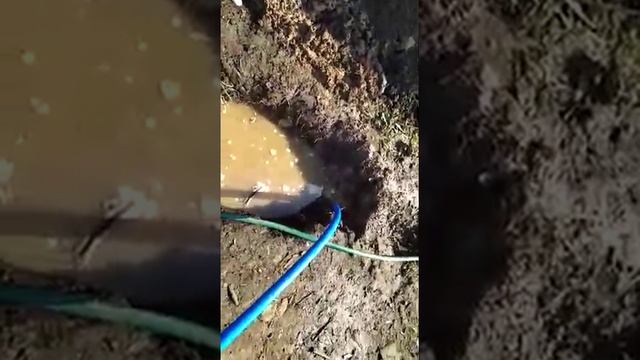 Абиссинская скважина / преимущества в сравнении с колодцем / 8-953-165-89-63 смотреть онлайн