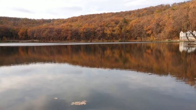 Пруд, 2019 Ударник смотреть онлайн