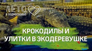 Экодеревушка в селе Парфентьево