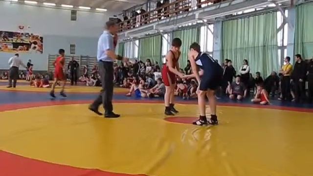 17 Витязь 16 03 2014 смотреть онлайн