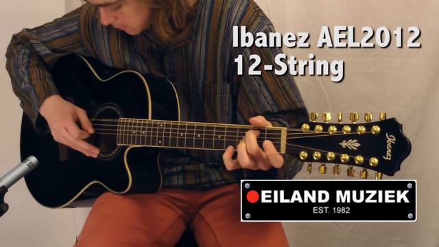 Ibanez AEL2012E 12-String